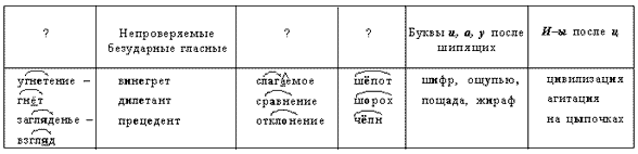 Виды орфограмм – гласные в корне